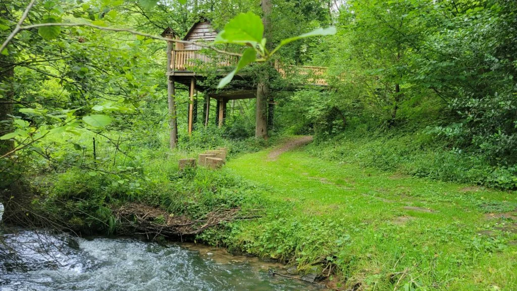 Le repaire de Diego, cabane dans les arbres au-dessus du ruisseau