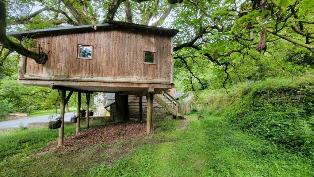 Le secret de Manon, cabane perchée sous le grand noyer du moulin