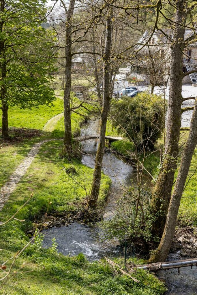 Le repaire de Diego – Le ruisseau au pied du bois