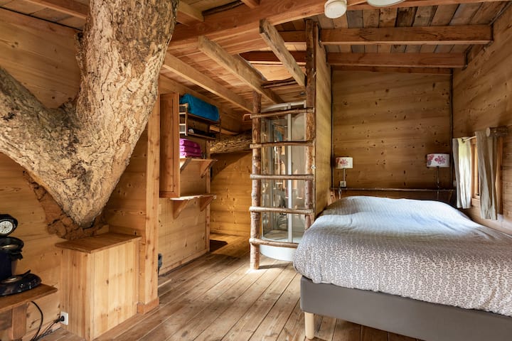 Le secret de Manon – La chambre, avec le tronc d’arbre qui traverse la cabane